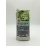 Farina di Grano Saraceno Bio - 500 gr